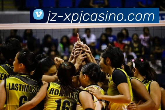 澳门新葡京娱乐平台生态图